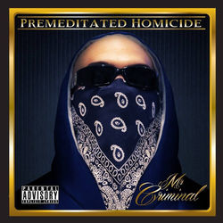 Premeditated Homicide - Mr. Criminal