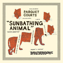 Sunbathing Animal - Parquet Courts