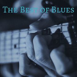 The Best of Blues - Big Joe Williams