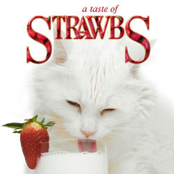 A TASTE OF STRAWBS - Strawbs