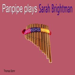 Panpipe Plays Sarah Brightman