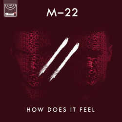 How Does It Feel - MS MR