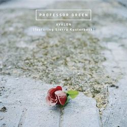 Avalon - Professor Green