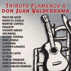 Tributo Flamenco A Don Juan Valderrama - Montse Cortes