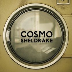 The Moss - Cosmo Sheldrake