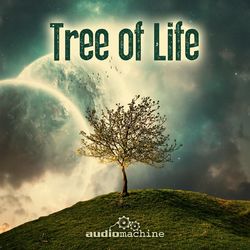 Tree of Life - Audiomachine