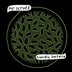 Friendly Bacteria - Mr. Scruff