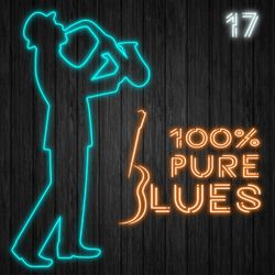 100% Pure Blues, Vol. 17 - Elmore James
