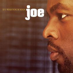 If I Was Your Man - Joe