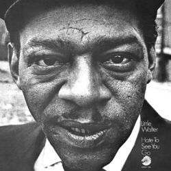Hate To See You Go - Little Walter
