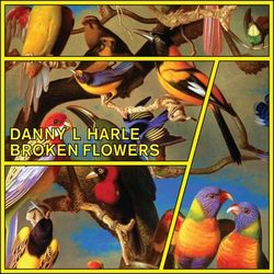 Broken Flowers - EP - Danny L Harle