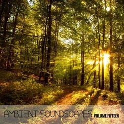 Ambient SoundScapes, Vol. 15 - Terry Oldfield