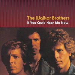 If You Could Hear Me Now - The Walker Brothers