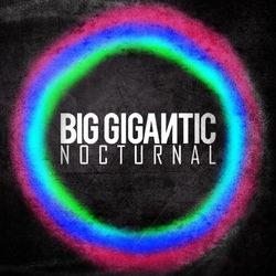 Nocturnal - Big Gigantic