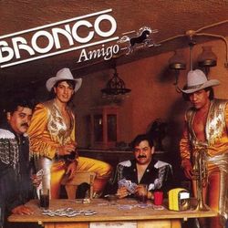 Bronco Amigo - Bronco