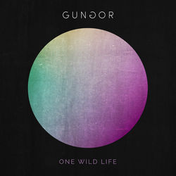 One Wild Life - Gungor