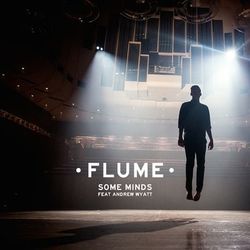 Some Minds - Flume