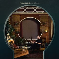 TV Queen - Wild Nothing