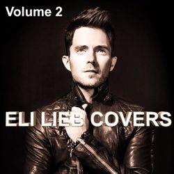 Eli Lieb Covers, Vol. 2 - Eli Lieb