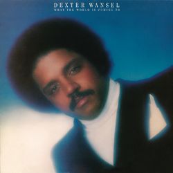 What the World Is Coming To - Dexter Wansel