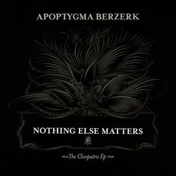 Nothing Else Matters - Apoptygma Berzerk