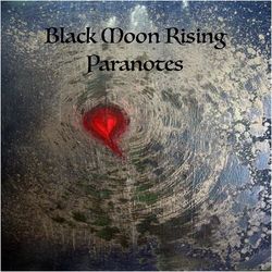 Black Moon Rising - Falconer