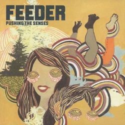 Pushing the Senses - Feeder