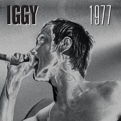 1977 - Iggy Pop