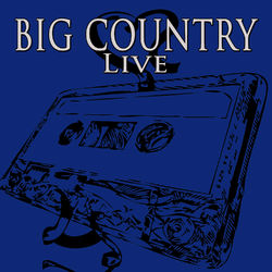 In Concert - Big Country