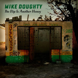The Flip Is Another Honey - Mike Doughty