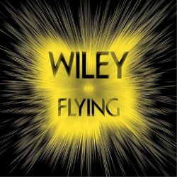 Flying - Wiley
