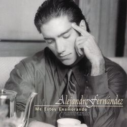 Me Estoy Enamorando - Alejandro Fernandez