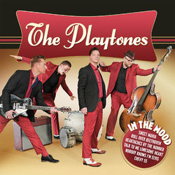 In the Mood - The Playtones