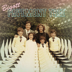 Pavement Tree - Bigott