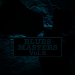 Blues Masters, Vol. 6 - Memphis Minnie