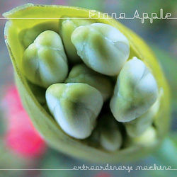 Extraordinary Machine - Fiona Apple