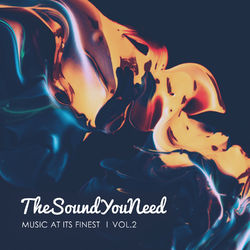 TheSoundYouNeed, Vol. 2 - Sorrow