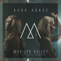 Dark Horse - Peter Hollens
