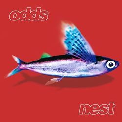 Nest - Odds