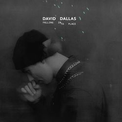 Falling Into Place - David Dallas