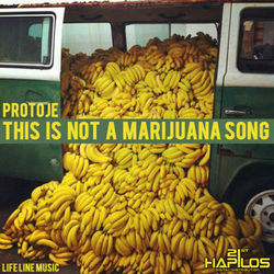 This Is Not a Marijuna Song - Protoje