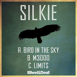 Bird in the Sky - Silkie