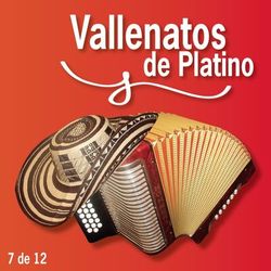 Vallenatos De Platino Vol. 7 - Los Betos