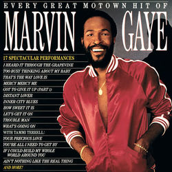 Every Great Motown Hit Of Marvin Gaye - Marvin Gaye