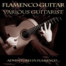 Flamenco Guitar - Sabicas