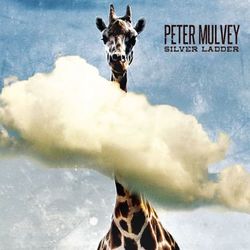 Silver Ladder - Peter Mulvey