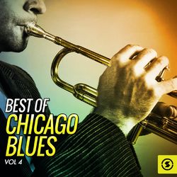 Best of Chicago Blues, Vol. 4 - Big Joe Williams