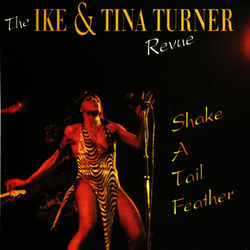 Shake A Tail Feather - Ike & Tina Turner