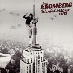 Wanted Dead Or Alive - David Bromberg