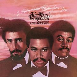 I Only Have Eyes for You - The Main Ingredient